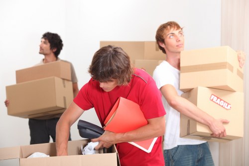Maryland man and van team handling boxes and furniture